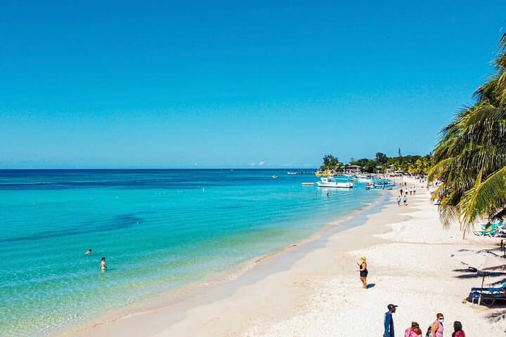 West Bay Beach Eco-Park and Snorkel Adventure — Roatán's Reef and Wildlife photo 2