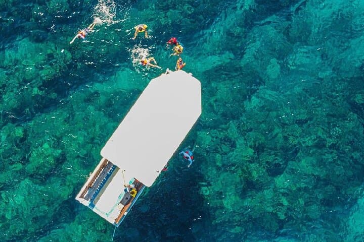 West Bay Beach Eco-Park and Snorkel Adventure — Roatán's Reef and Wildlife photo 5