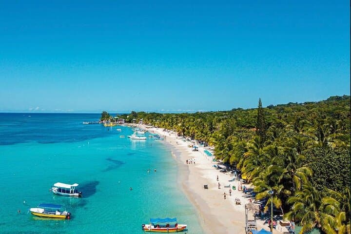 West Bay Beach Eco-Park and Snorkel Adventure — Roatán's Reef and Wildlife photo 4