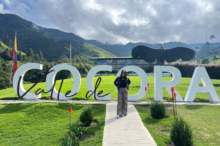 Hike Cocora Valley: Shared Tour to Colombia’s Towering Wax Palms