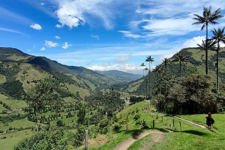 Hike Cocora Valley: Shared Tour to Colombia’s Towering Wax Palms photo 2