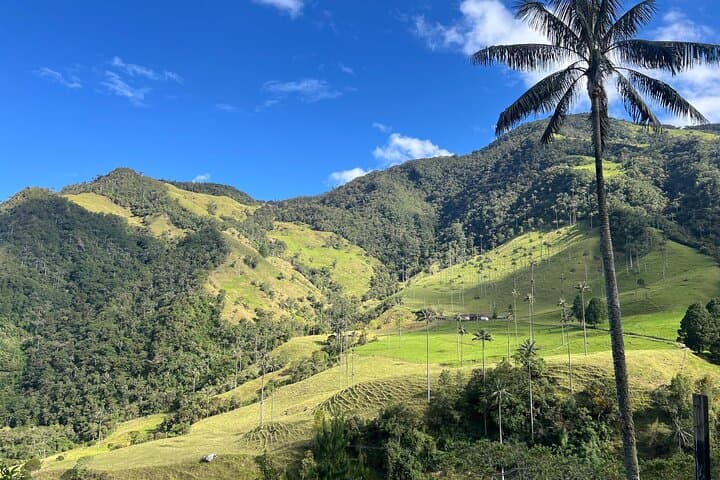 Hike Cocora Valley: Shared Tour to Colombia’s Towering Wax Palms photo 5