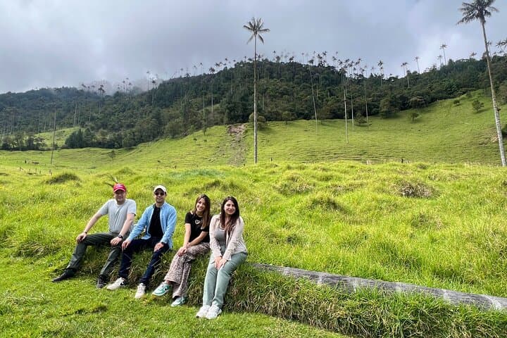 Hike Cocora Valley: Shared Tour to Colombia’s Towering Wax Palms photo 6