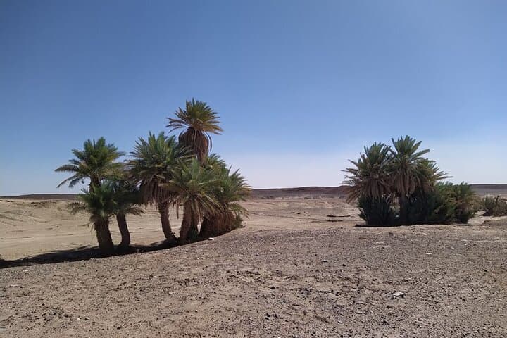 3-Day Camel Trek & Desert Camp from M'hamid to Erg Chegaga
