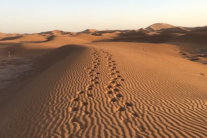 3-Day Camel Trek & Desert Camp from M'hamid to Erg Chegaga photo 2