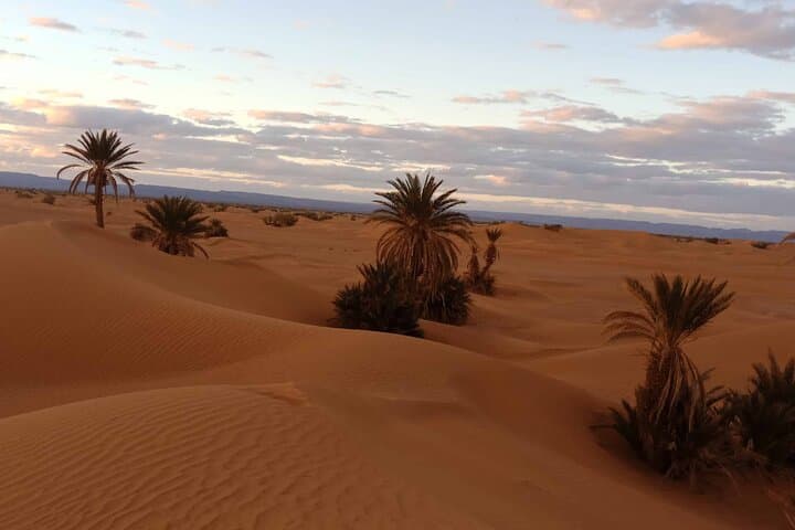 3-Day Camel Trek & Desert Camp from M'hamid to Erg Chegaga photo 3