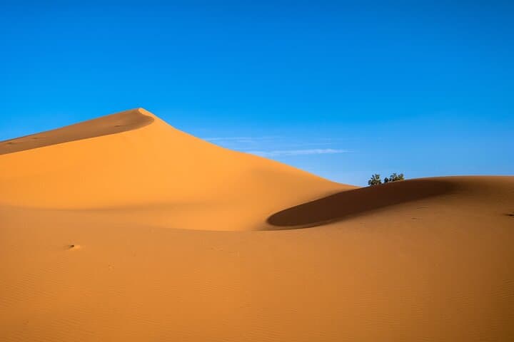 3-Day Camel Trek & Desert Camp from M'hamid to Erg Chegaga photo 4