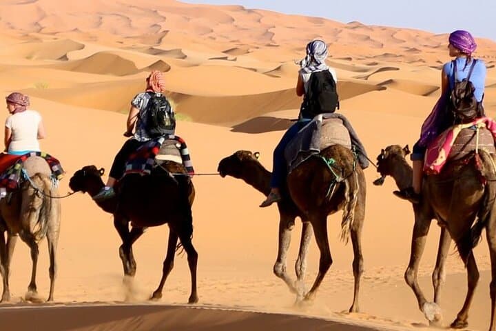 3-Day Camel Trek & Desert Camp from M'hamid to Erg Chegaga photo 5