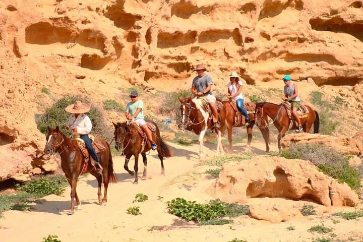 Migriño Beach Horseback and ATV Adventure with Tequila Tasting in Los Cabos photo 2