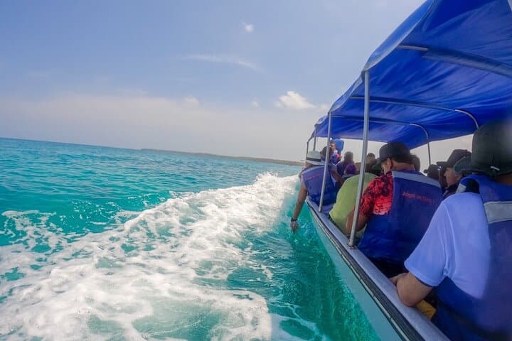 Barú Island Mangroves & Playa Blanca: Guided Snorkel and Beach Club Day Trip from Cartagena photo 2