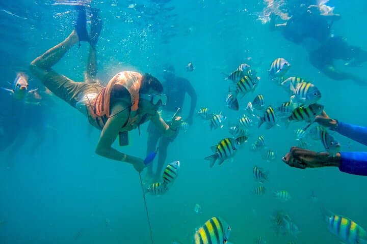 Barú Island Mangroves & Playa Blanca: Guided Snorkel and Beach Club Day Trip from Cartagena photo 5