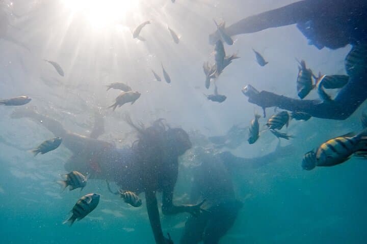 Barú Island Mangroves & Playa Blanca: Guided Snorkel and Beach Club Day Trip from Cartagena photo 6