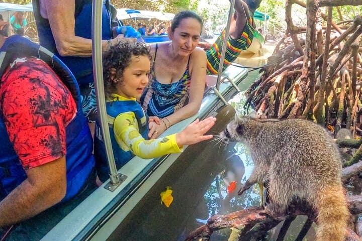 Barú Island Mangroves & Playa Blanca: Guided Snorkel and Beach Club Day Trip from Cartagena