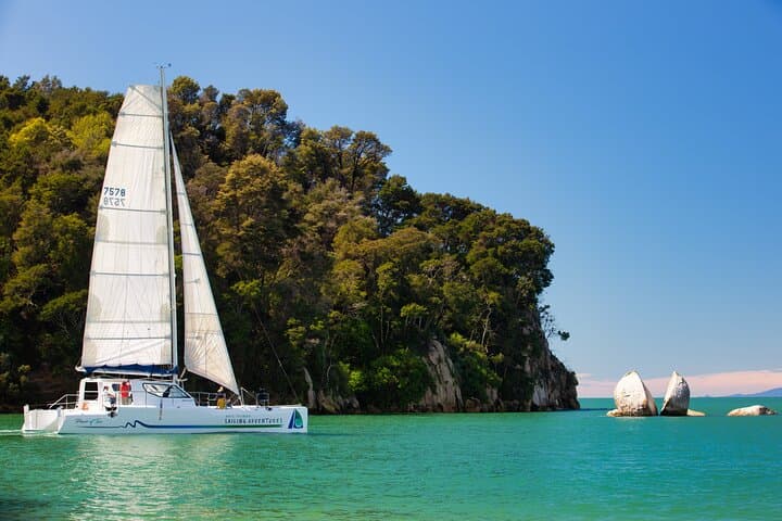 Abel Tasman Day Sail and Coastal Walk from Kaiteriteri — Seals, Split Apple Rock & Anchorage Bay