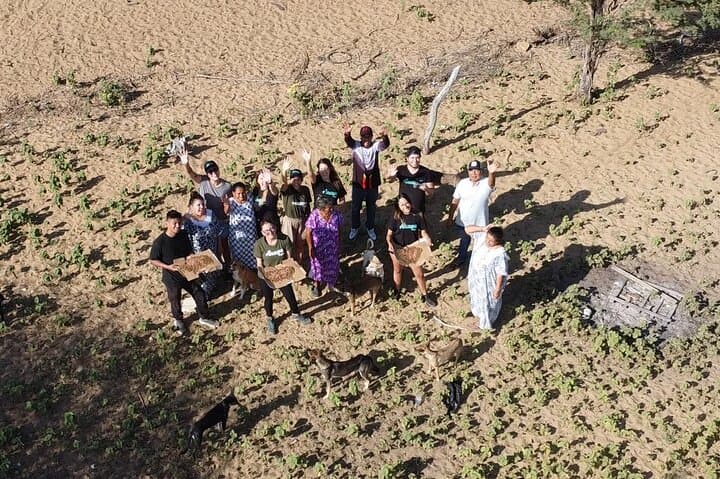 Saving Animals Tour in La Guajira: 4-Day Volunteer Conservation Experience photo 2