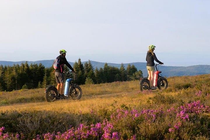 Electric Scooter Forest Rides in Haut-Languedoc: Off-Road Trails & Hidden Vistas