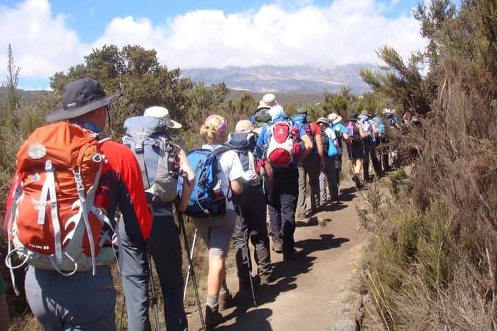 6-Day Machame Route Kilimanjaro Climb — Itinerary, Tips & Gear photo 3