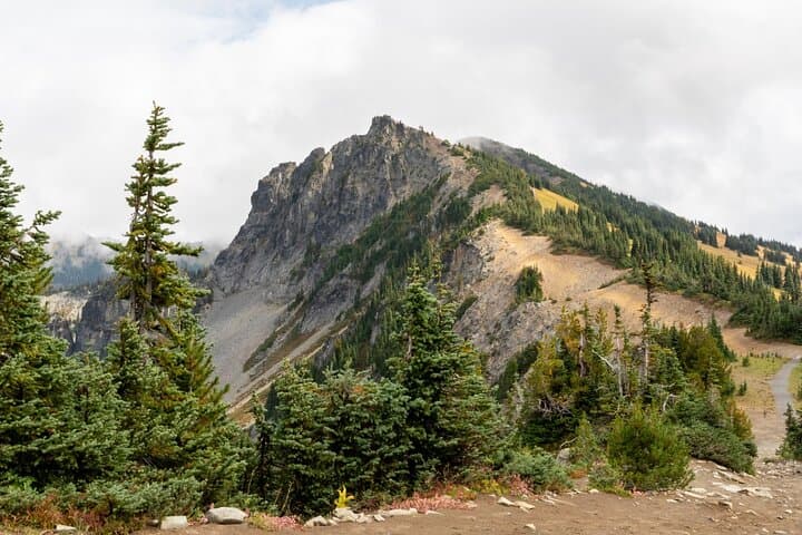 Self-Guided Audio Driving Tour of Mount Rainier National Park — Scenic Route & Offline Guide photo 3