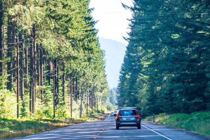 Self-Guided Audio Driving Tour of Mount Rainier National Park — Scenic Route & Offline Guide photo 5