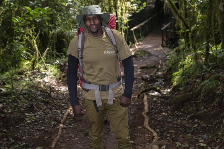 Lemosho Route Kilimanjaro: 7-Day Guided Trek to Uhuru Peak photo 3