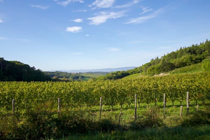Chianti Classico Private Wine Tour & Dinner from Florence photo 2