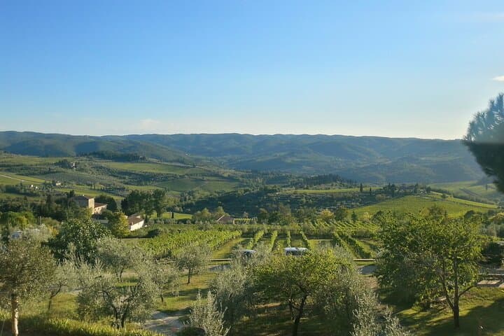 Chianti Classico Private Wine Tour & Dinner from Florence photo 5