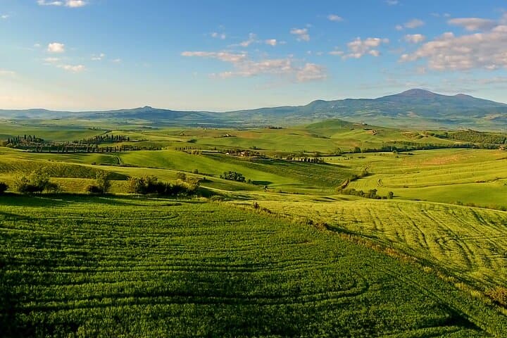 Chianti Classico Private Wine Tour & Dinner from Florence photo 6