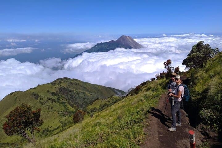 Mount Merbabu One-Day Summit Hike from Yogyakarta — 3,142m Adventure