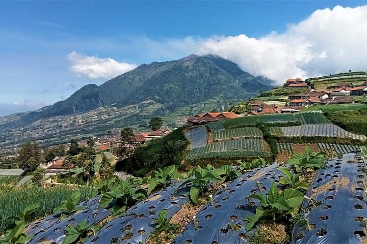 Mount Merbabu One-Day Summit Hike from Yogyakarta — 3,142m Adventure photo 2