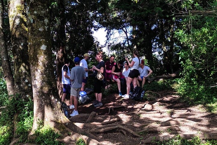 Mount Merbabu One-Day Summit Hike from Yogyakarta — 3,142m Adventure photo 5