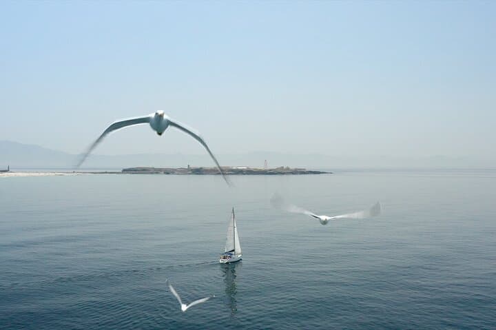 Sail, Snorkel & Tapas: 3-Hour Tarifa Coastal Escape photo 5