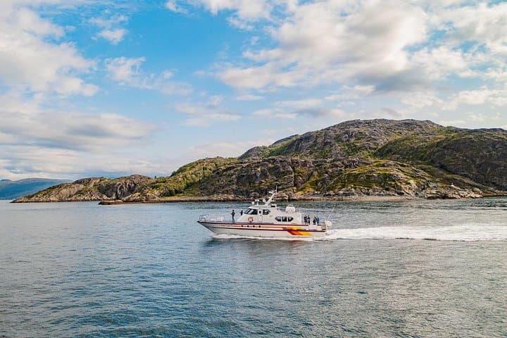 Altafjord Fjord Safari: 2-Hour Boat Tour from Alta with Wildlife Viewing