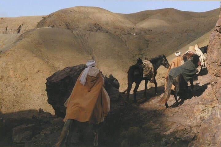 Five Valleys Private Excursion: Berber Homes & Ourika Waterfalls from Marrakech photo 4