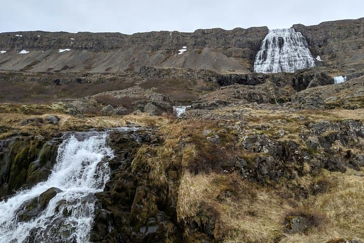Dynjandi Waterfall & Westfjords Farm Tour from Ísafjörður photo 4