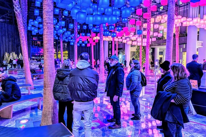 NYC Holiday Lights Tour: Manhattan’s Festive Sights & Insider Tips photo 5