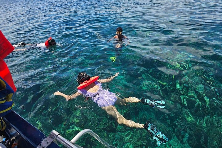 Roatan Jungle Zip Line, Eco-Park & West Bay Snorkel Adventure photo 5