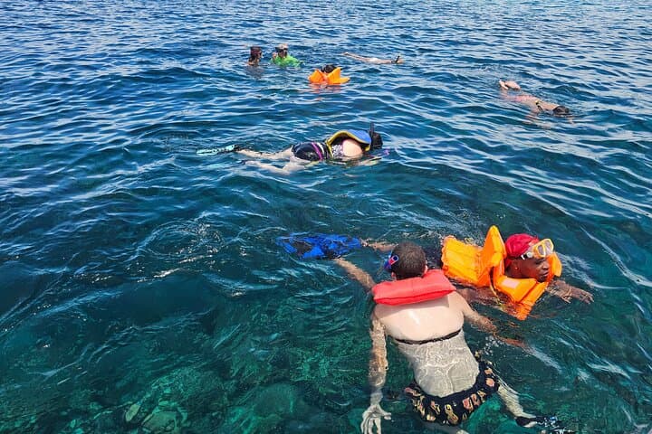 Roatan Jungle Zip Line, Eco-Park & West Bay Snorkel Adventure photo 6