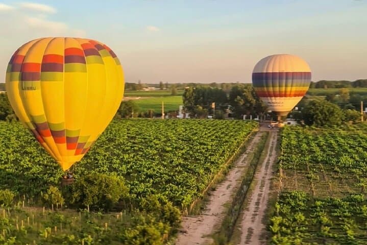 Golden Skies of Mendoza: Sunset Hot Air Balloon Over Vineyards photo 2