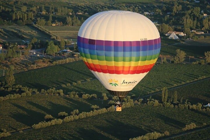 Golden Skies of Mendoza: Sunset Hot Air Balloon Over Vineyards photo 3