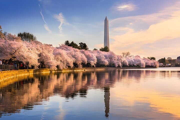 Private Washington DC Monuments Tour: White House, Capitol & Memorials photo 5