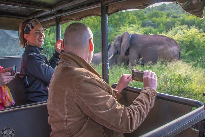 3-Day Safari from Durban: Hluhluwe, iSimangaliso & St Lucia Wildlife Experience photo 5