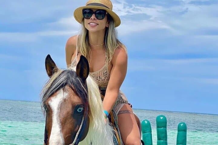 Roatán Wild Ride: Zipline, Horseback & Animal Sanctuary Shore Excursion