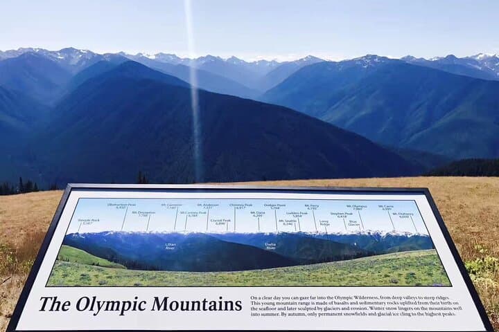 Olympic National Park Day Tour from Seattle — Hurricane Ridge, Lake Crescent & Marymere Falls