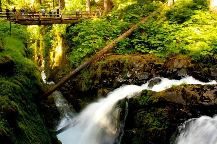 Olympic National Park Day Tour from Seattle — Hurricane Ridge, Lake Crescent & Marymere Falls photo 2