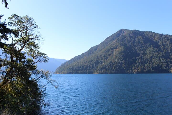 Olympic National Park Day Tour from Seattle — Hurricane Ridge, Lake Crescent & Marymere Falls photo 4