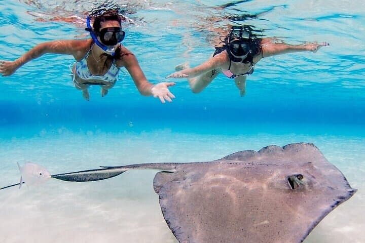 Stingray City and Two Reef Snorkeling Grand Cayman Adventure photo 5