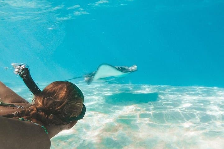 Grand Cayman 3-Stop Snorkel: Stingray City, Coral Gardens & Barrier Reef photo 2