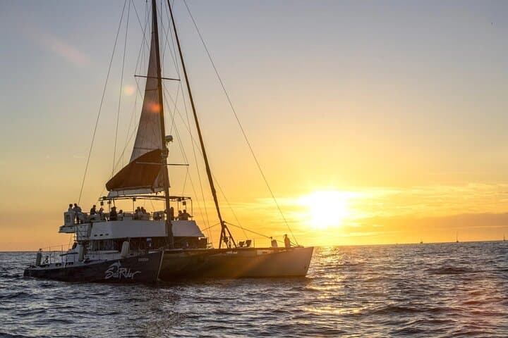 Cabo Sunset Catamaran: Tacos, Margaritas & Sea Lions Cruise