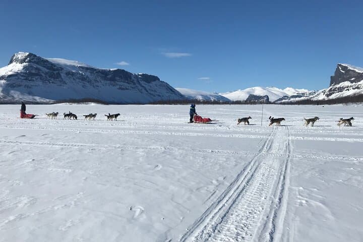 3-Day Dog Sledding Adventure in Alaska's White Mountains