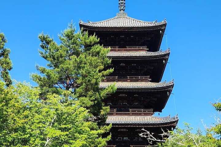 Kyoto Highlights: 6-Hour Private Car Tour — Fushimi Inari to Arashiyama photo 6